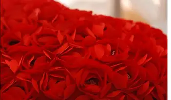 Mīlestības sirds formas sarkans spilvena ziedu mest spilvens atpakaļ uz spilvena ziedu jostas spilvens dāvana